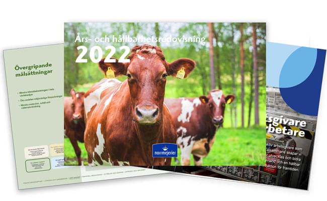 Års- hållbarhetsredovisning 2022